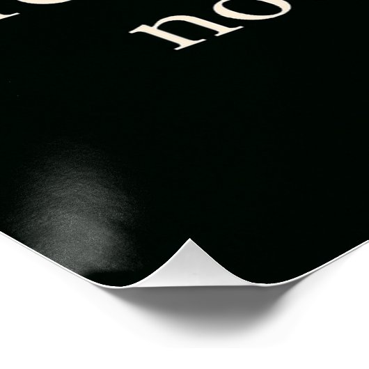  Solos Flight:Solo Woman Balloon Ride Wall Art Perfect Poster (Hoek)