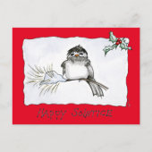 Solstice Chickadee Briefkaart (Voorkant)