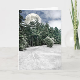 Solstice Full Moon Trail to the Woods Kaart