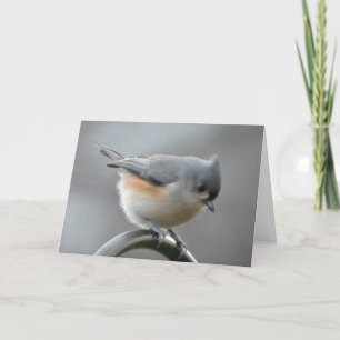 Solstice-kaart Kaart