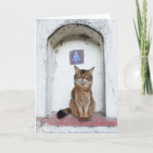Somali Cat in Alcove Old World Scene Kaart (Voorkant)