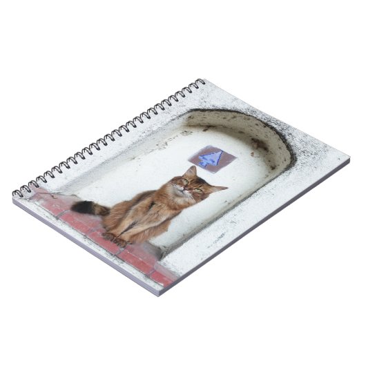 Somali Cat in Alcove Old World Scene Notitieboek (Linkerzijde)