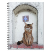 Somali Cat in Alcove Old World Scene Notitieboek (Voorkant)
