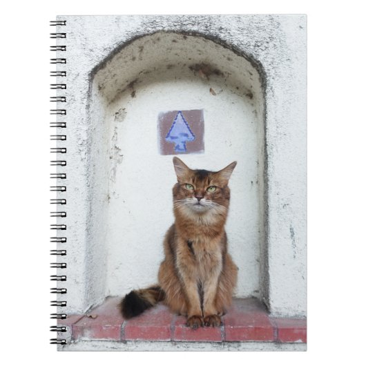 Somali Cat in Alcove Old World Scene Notitieboek (Voorkant)