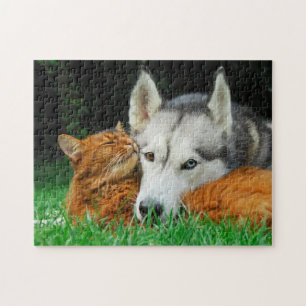 Somali Cat Siberian Husky Cute Friends Huddle Love Legpuzzel