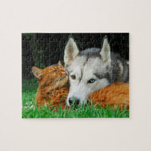 Somali Cat Siberian Husky Cute Friends Huddle Love Legpuzzel