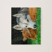Somali Cat Siberian Husky Cute Friends Huddle Love Legpuzzel (Verticaal)