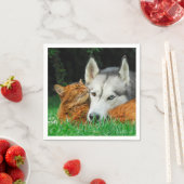 Somali Cat Siberian Husky Cute Friends Huddle Love Servetten (Insitu)