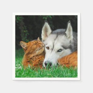 Somali Cat Siberian Husky Cute Friends Huddle Love Servetten