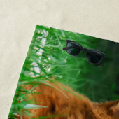 Somali Cat Siberian Husky Cute Friends Huddle Love Strandlaken (In situ)