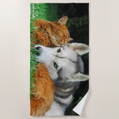 Somali Cat Siberian Husky Cute Friends Huddle Love Strandlaken (Voorkant)