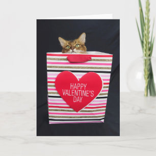 Somali kat in een Happy Valentijnsdag-tas Kaart