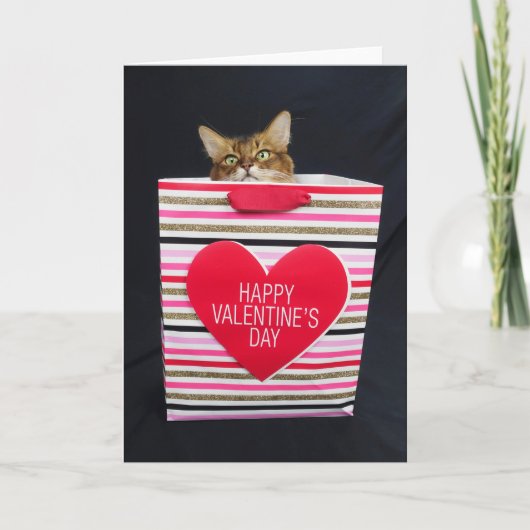 Somali kat in een Happy Valentijnsdagtas Kaart (Voorkant)