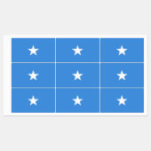 Somalia Flag Labels (Vel)