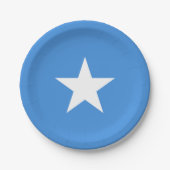 Somalia Flag Papieren Bordje (Voorkant)