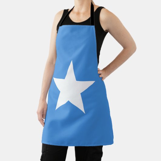 Somalia Flag Schort (Insitu)