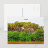 Somalië, landschapsfoto briefkaart (Voorkant / Achterkant)