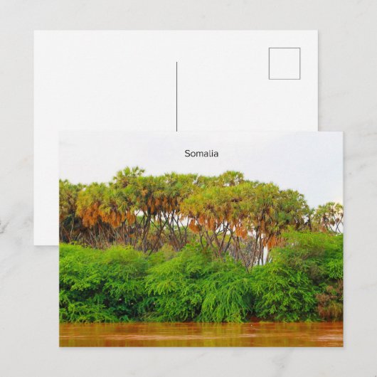 Somalië, landschapsfoto briefkaart (Voorkant / Achterkant)