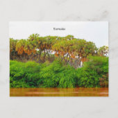 Somalië, landschapsfoto briefkaart (Voorkant)