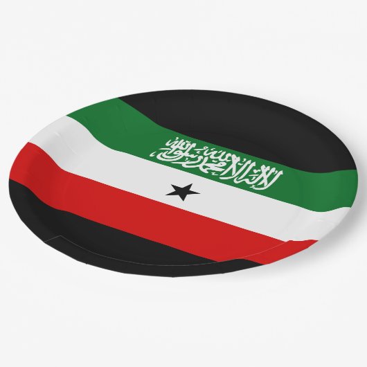 Somaliland Flag Papieren Bordje (Gekanteld)