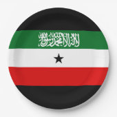 Somaliland Flag Papieren Bordje (Voorkant)