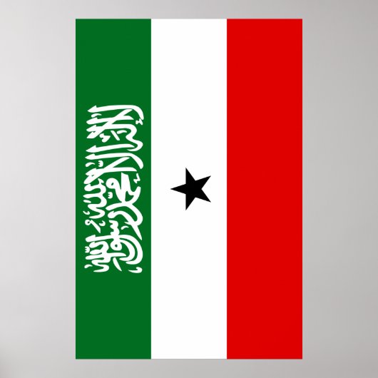 Somaliland Flag Poster (Voorkant)