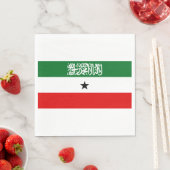 Somaliland Flag Servet (Insitu)