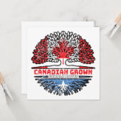 Somalisch Canadees Canada - - Bergvloed Kaart (Voorkant / Achterkant in situ)
