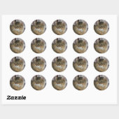 Somalisch, normaal ronde sticker (Vel)