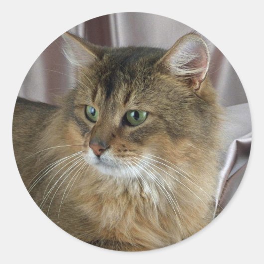 Somalisch, normaal ronde sticker (Voorkant)