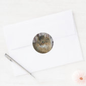 Somalisch, normaal ronde sticker (Envelop)