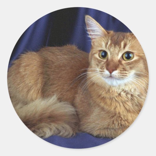 Somalisch, zuring ronde sticker (Voorkant)