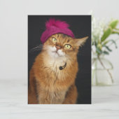 Somalische kat draagt een frambozenbaret feestdagenkaart (Staand voorkant)