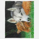 Somalische kat en Siberische Husky, schattige vrie Fleece Deken (Voorkant)