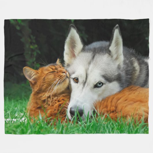 Somalische kat en Siberische Husky, schattige vrie Fleece Deken (Voorkant (Horizontaal))