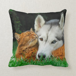 Somalische kat en Siberische Husky, schattige vrie Kussen