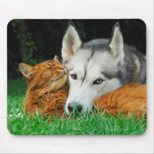 Somalische kat en Siberische Husky, schattige vrie Muismat