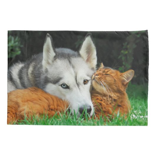 Somalische kat en Siberische Husky schattige vrien Kussensloop (Achterkant)