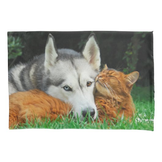 Somalische kat en Siberische Husky schattige vrien Kussensloop (Voorkant)