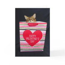Somalische kat in een Happy Valentijnsdagtas