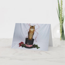 Somalische kat in een kerstcadeautje Pet Bedankkaart