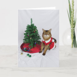 Somalische kat kerstboom versieren kerst Kaart