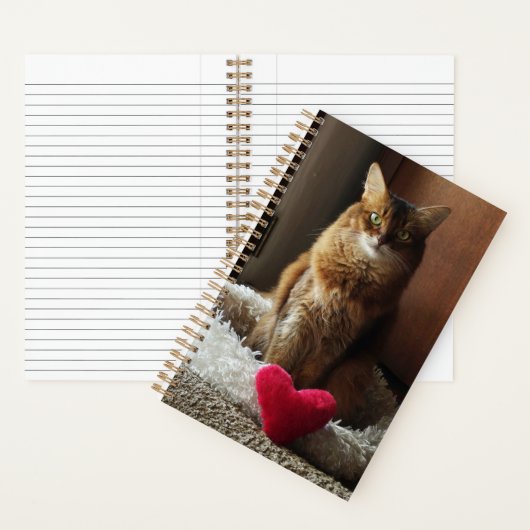 Somalische kat met hart notitieboek (Binnen)