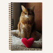 Somalische kat met hart notitieboek (Voorkant)