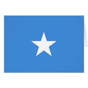 Somalische vlag
