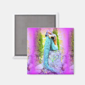 somber magnet (Voorkant / Achterkant)