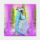 somber magnet (Voorkant)