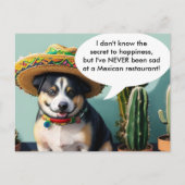 sombrero perro meme briefkaart (Voorkant)