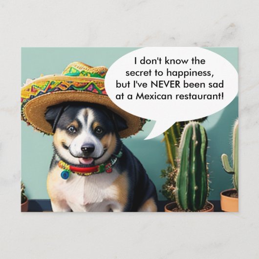 sombrero perro meme briefkaart (Voorkant)