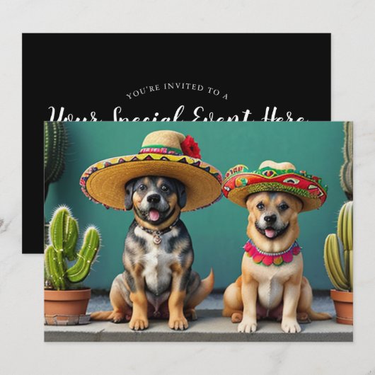 sombreros honden kaart (Voorkant / Achterkant)
